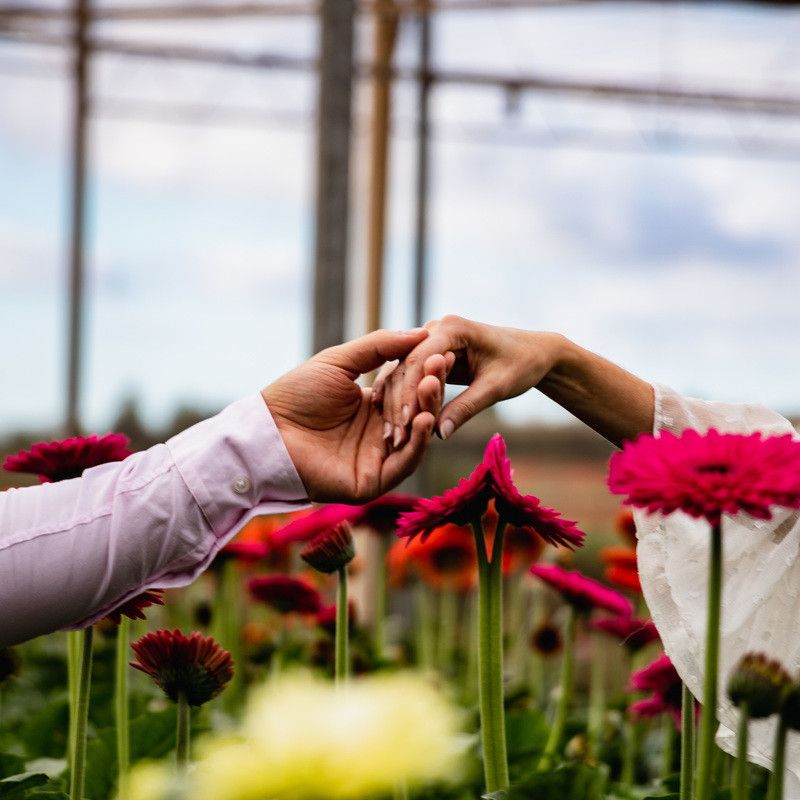 ENSAIO PRÉ WEDDING EM HOLAMBRA | CÁSSIA & ELTON - 2 - 0