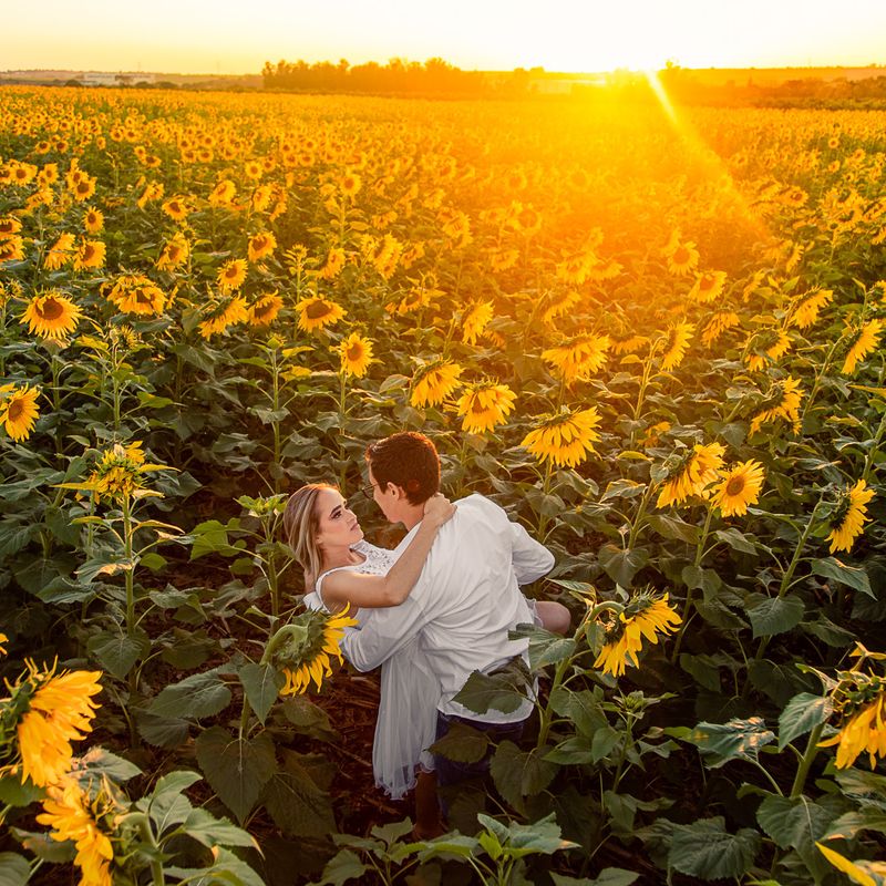 ENSAIO PRÉ-CASAMENTO EM HOLAMBRA - MARIA EDUARDA E ÁLVARO - 2 - 0