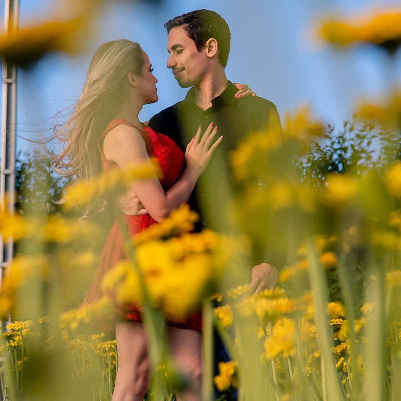 ENSAIO PRÉ-CASAMENTO EM HOLAMBRA - MARIA EDUARDA E ÁLVARO - 2 - 1