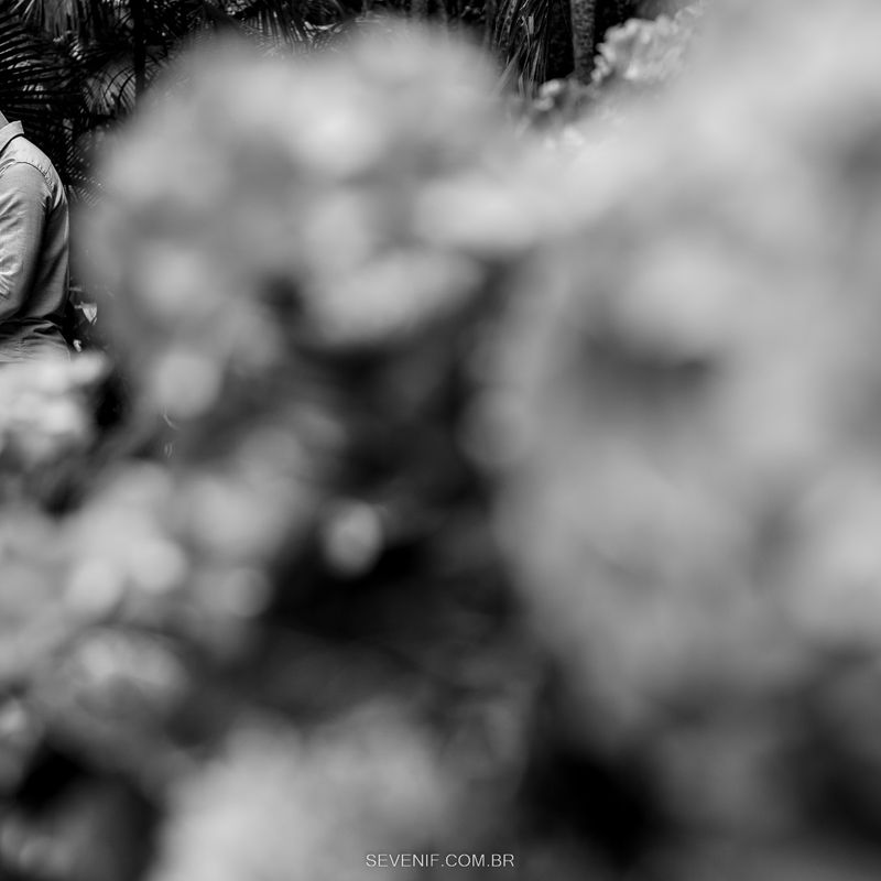 Ensaio Pré-Casamento no Jardim botânico - Alessandra e Luiz - 2 - 1