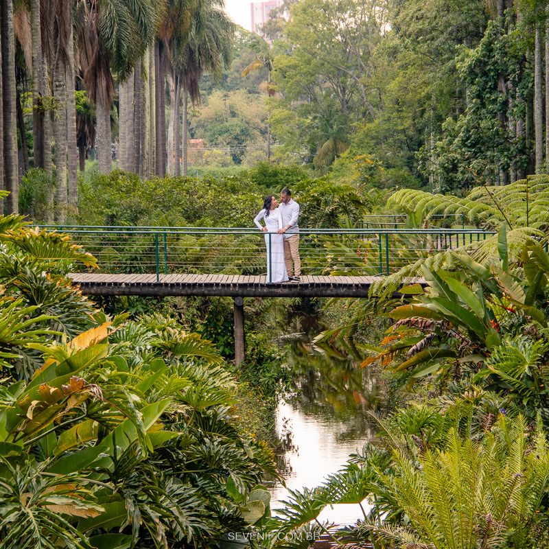 Ensaio Pré-Casamento no Jardim botânico - Alessandra e Luiz - 2 - 2