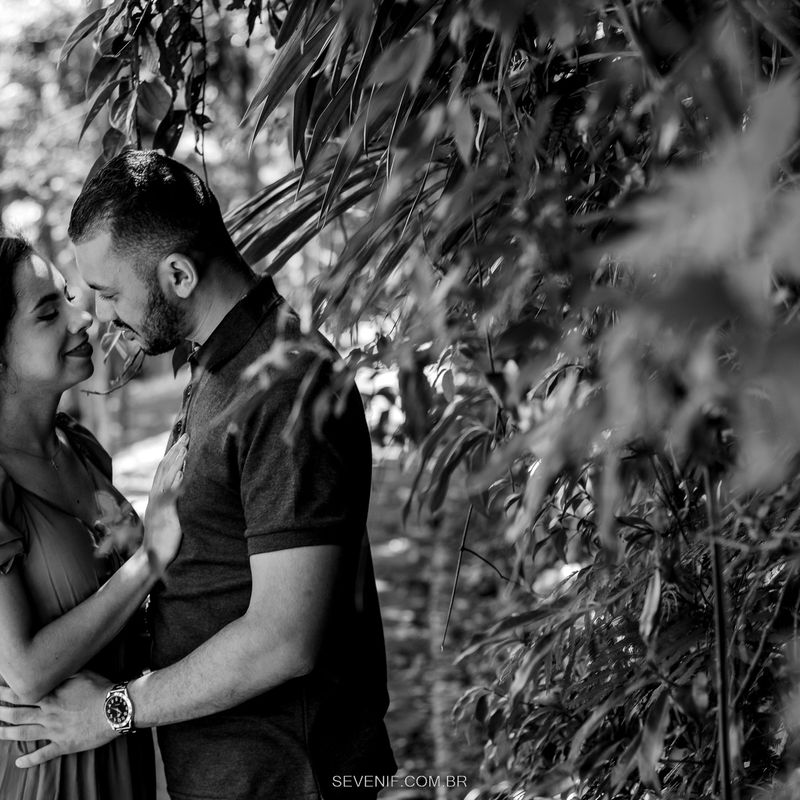 Ensaio Pré-Casamento no Jardim botânico - Alessandra e Luiz - 2 - 0