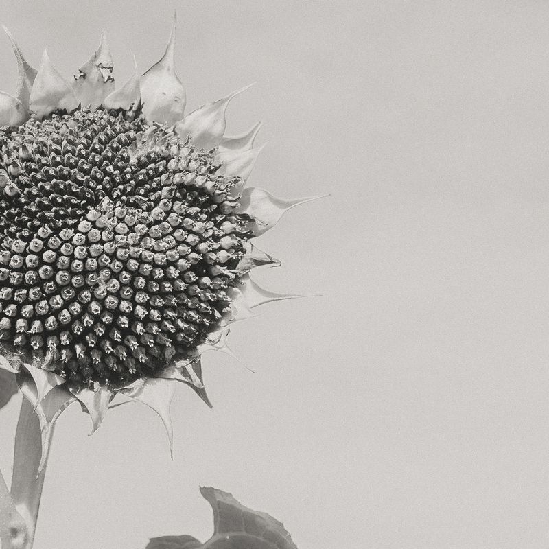 Nothing is Static by Ju Holck - 2 - 1