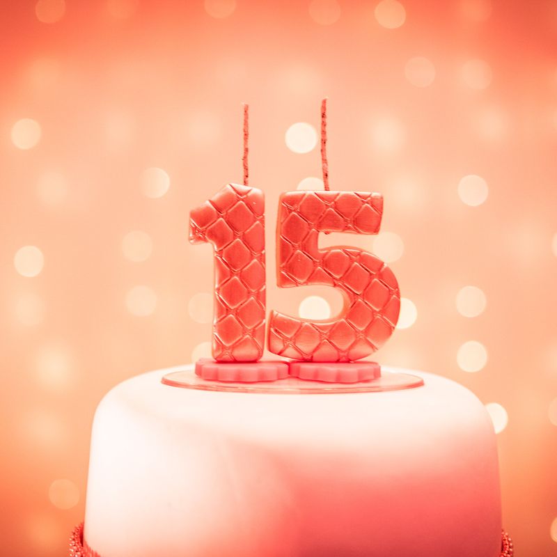 Aniversário 15 anos - Milena - São Paulo/SP - 2 - 1