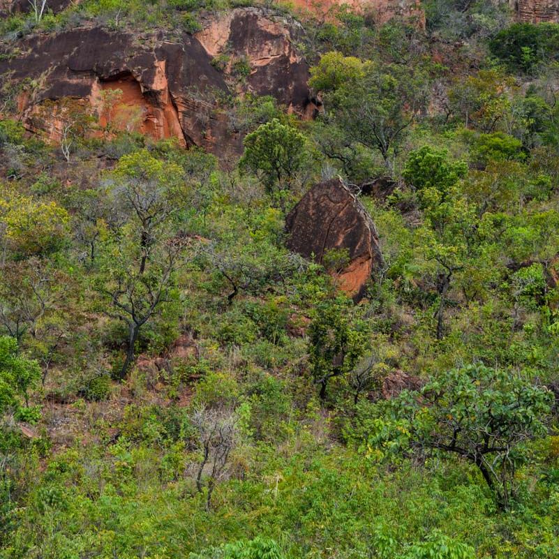 Pre Wedding e Casamento - 1 - 33