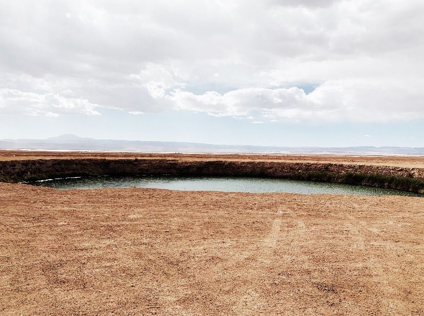 O que fazer no Deserto do Atacama com criança! - 54