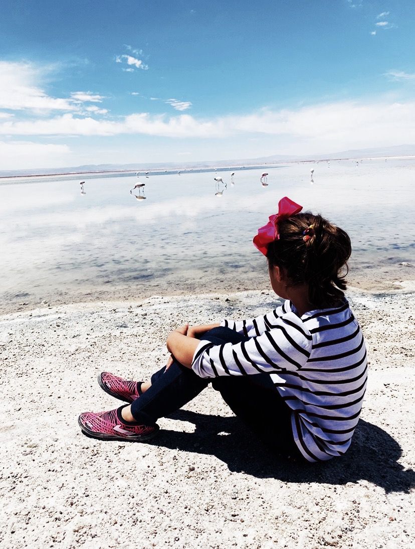 O que fazer no Deserto do Atacama com criança! - 78
