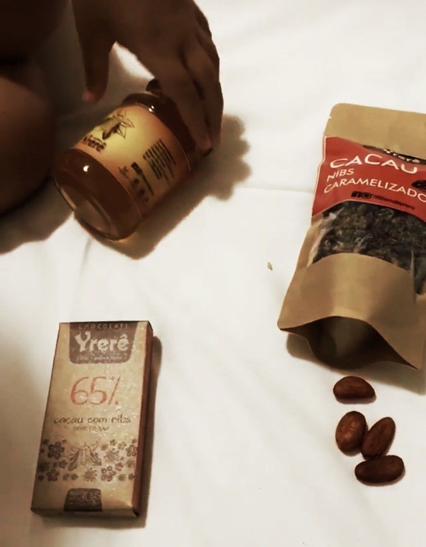 Como é visitar uma fazenda de cacau em Ilhéus: Fazenda Yrerê. - 29