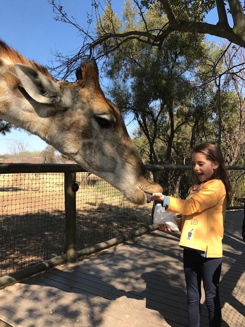Celebrar o Natal em outro país - 29