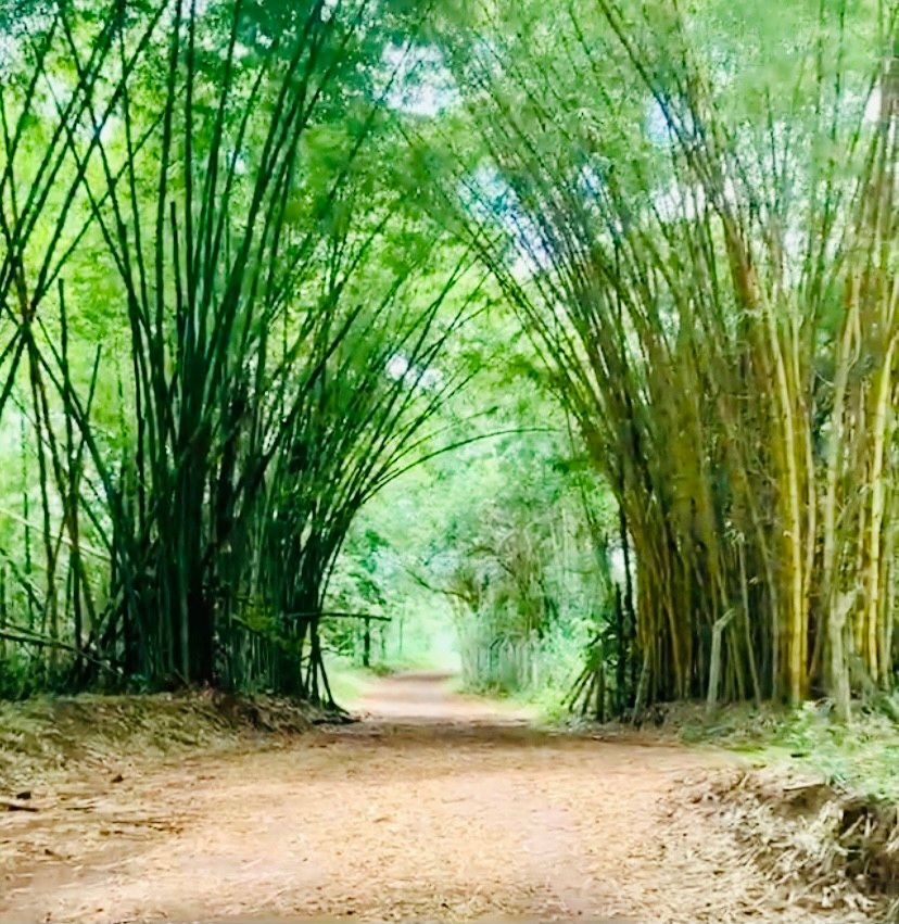 O que fazer em Araxá - 33