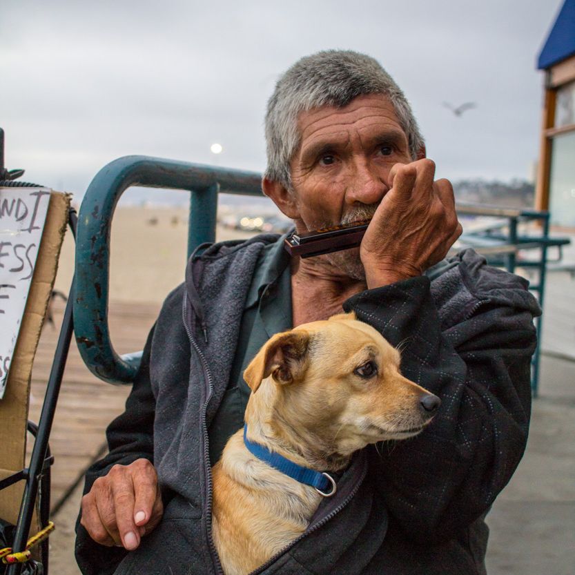 Fotos Aceitas e Premiadas - 3 - 16