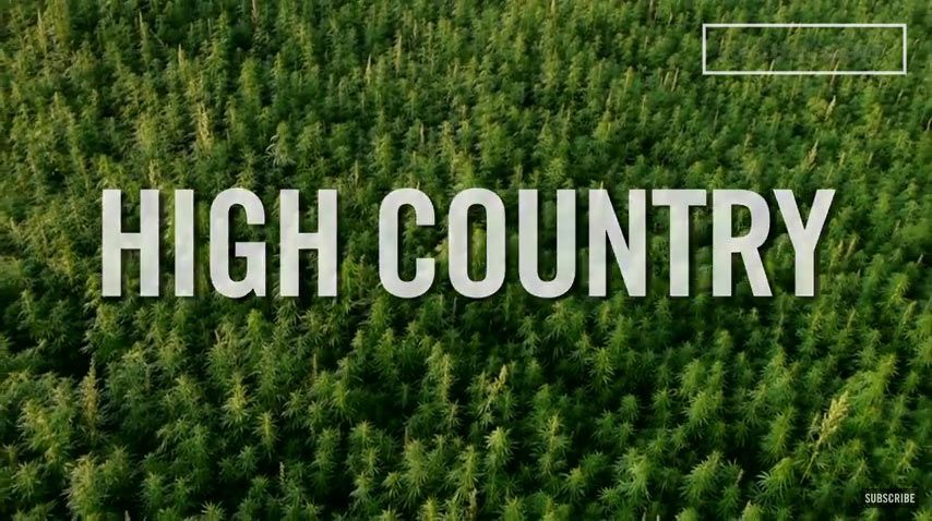 Filmes documentários e séries sobre a Cannabis: informação para além do clichê - 23