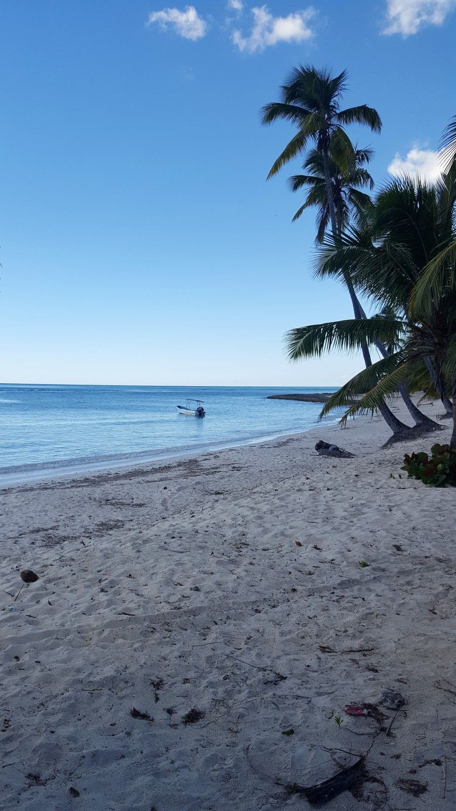 Lua de Mel na República Dominicana: um dos destinos preferidos! - 39