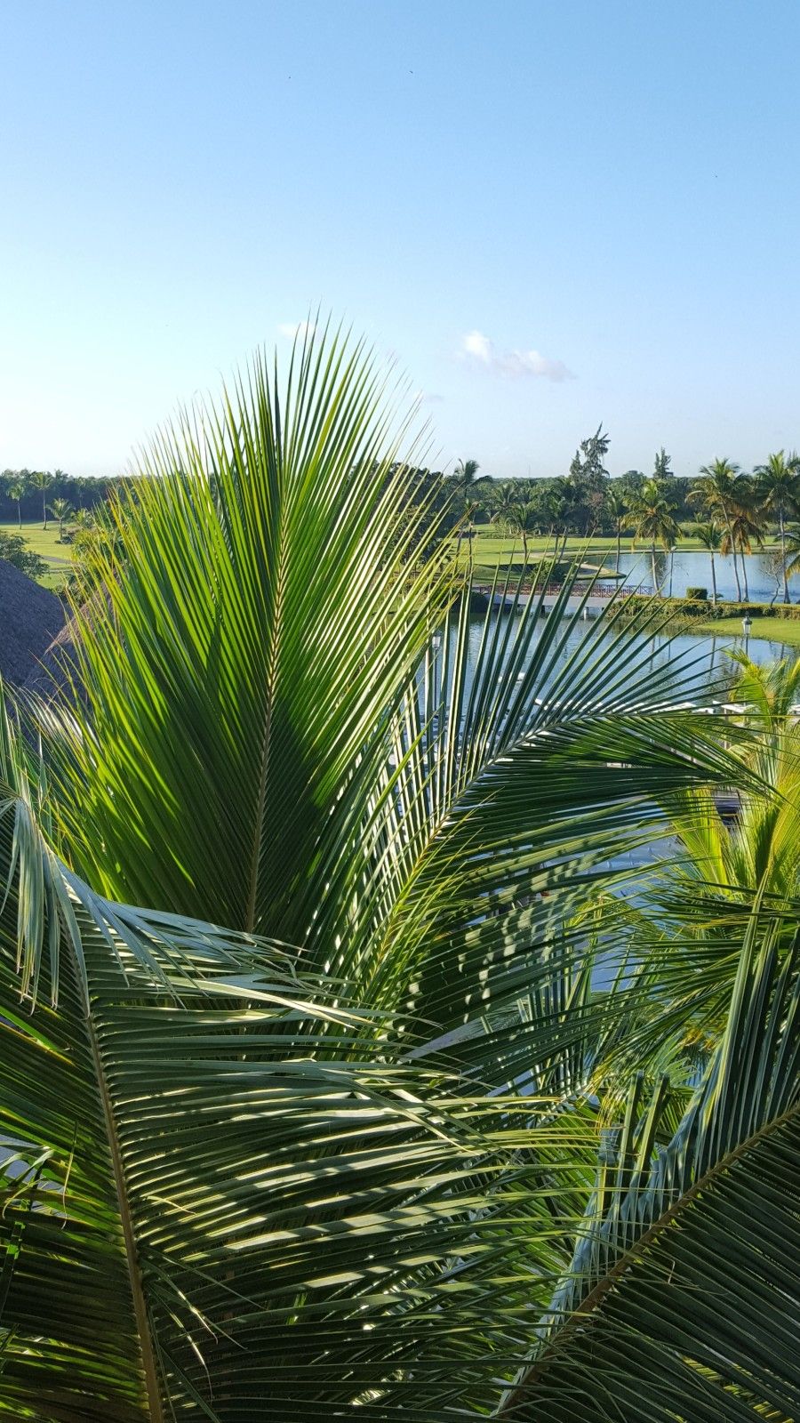 Punta Cana, Bayahibe e Santo Domingo: nosso roteiro com as crianças pela República Dominicana! - 71