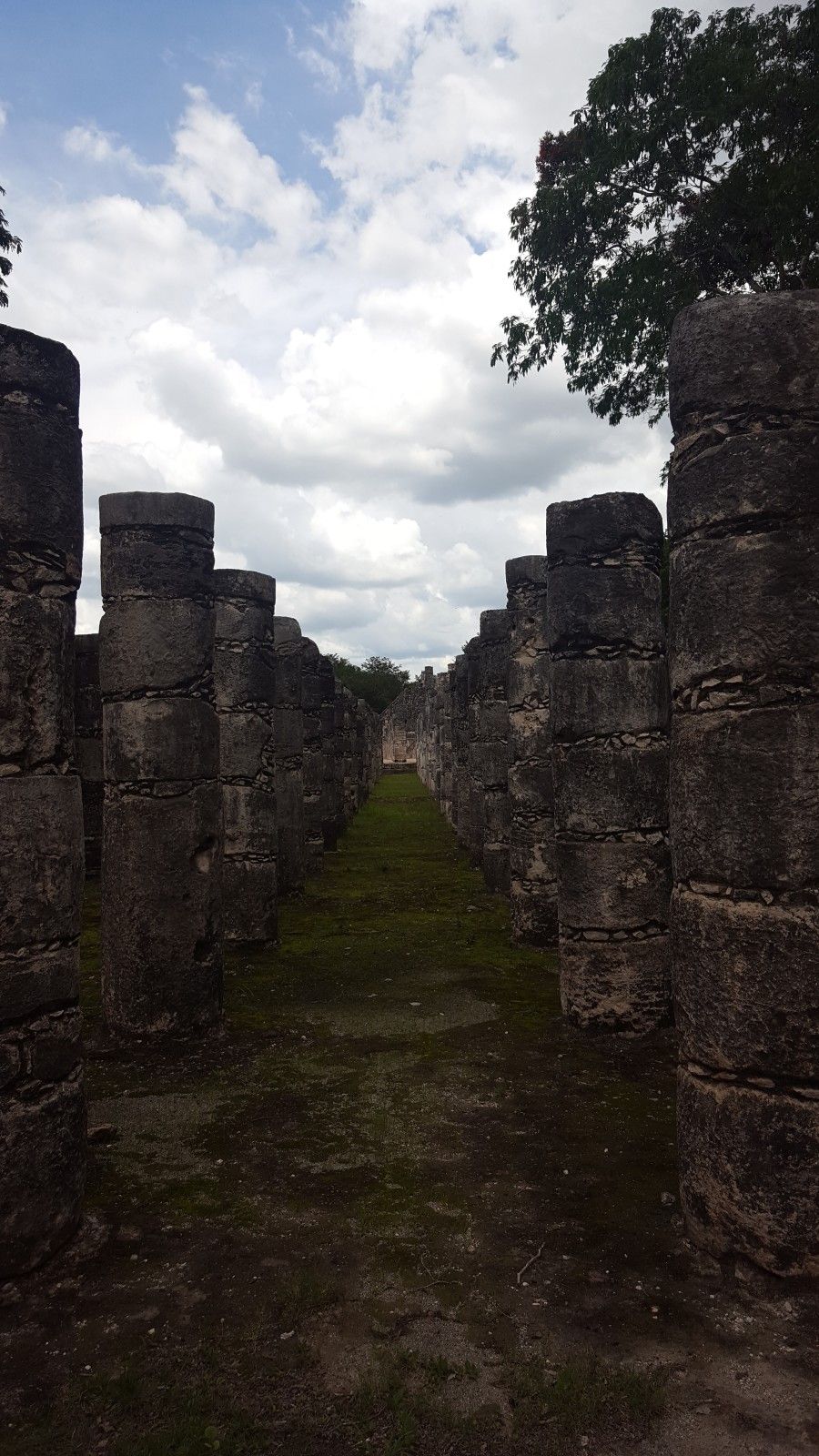 O que fazer em Cancun com crianças - 18