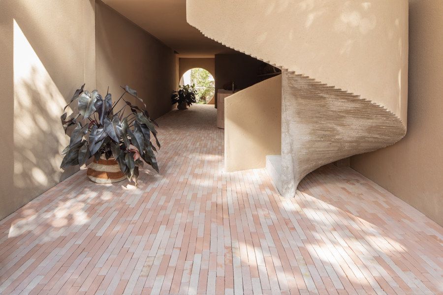 Dois Trópicos - botânica, café e arquitetura - 2