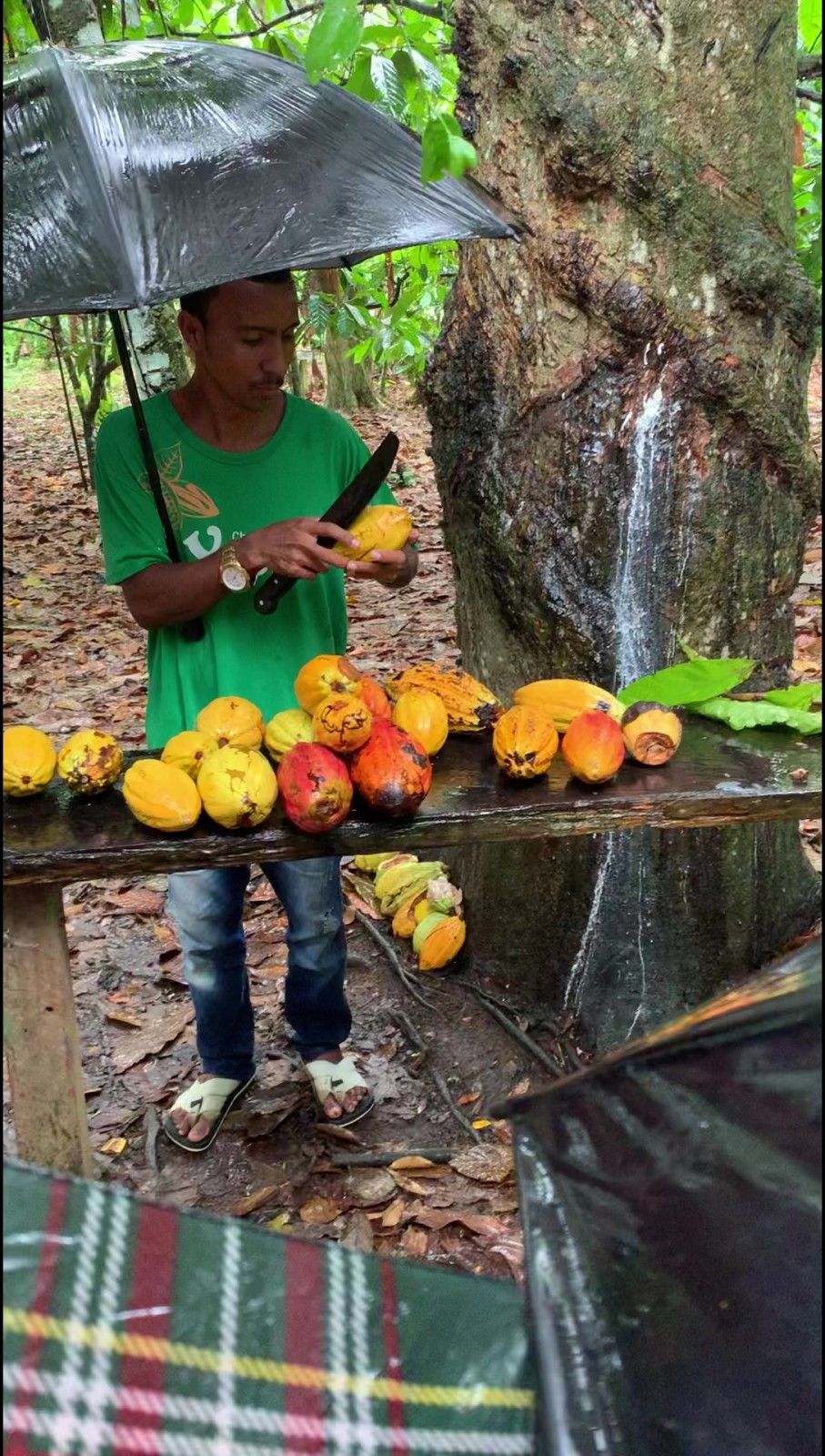 O que fazer em Ilhéus!  - 25
