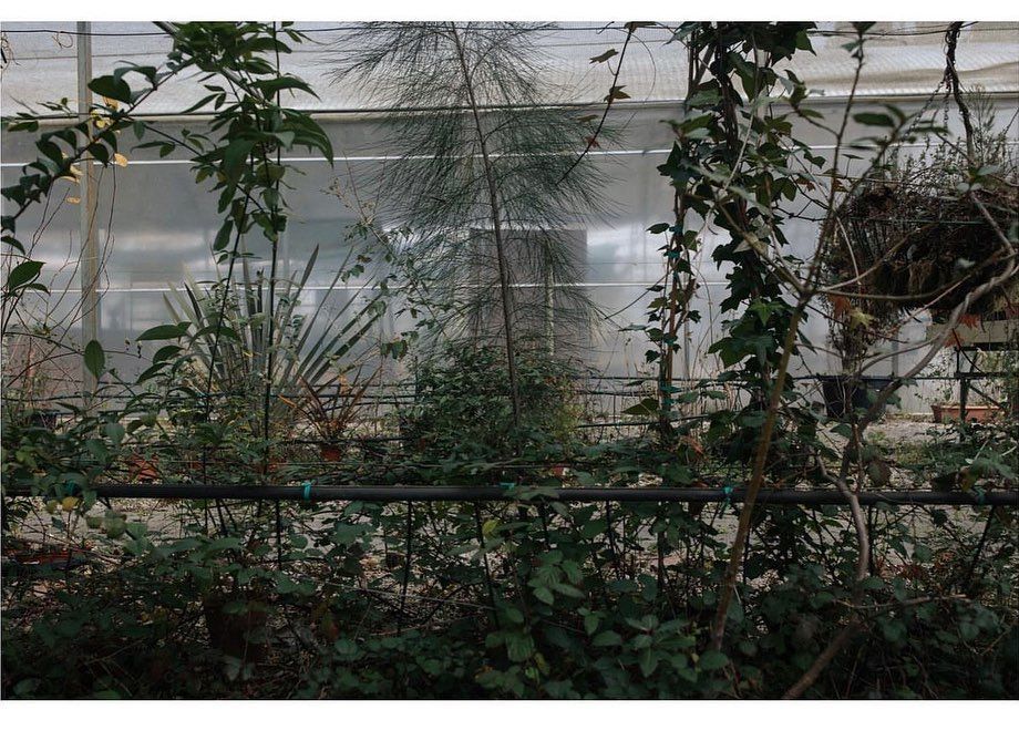 Uma Boa Fotografia... - 5