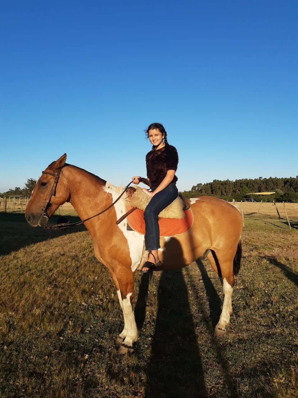 Fazenda Lapataia em Punta Del Este: conhecendo o Uruguay com crianças - 42