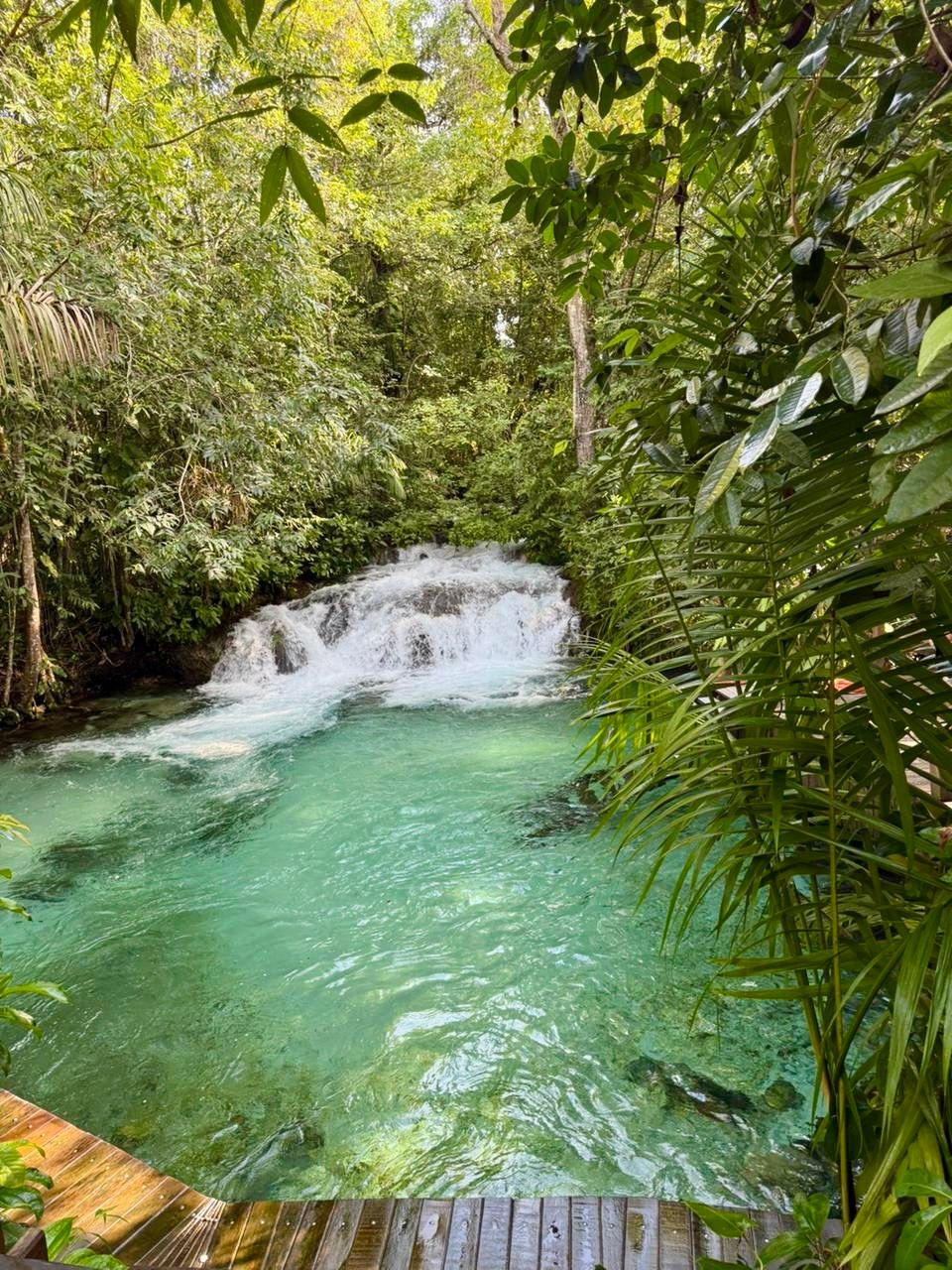 Como foi nosso roteiro de 5 dias pelo Jalapão - 29
