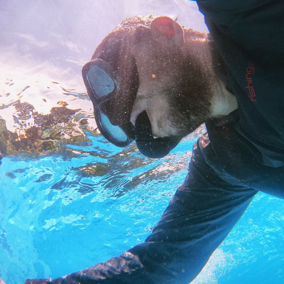 Curso Freediver Padi e Pesca Sub Avaré/SP - 5 - 7