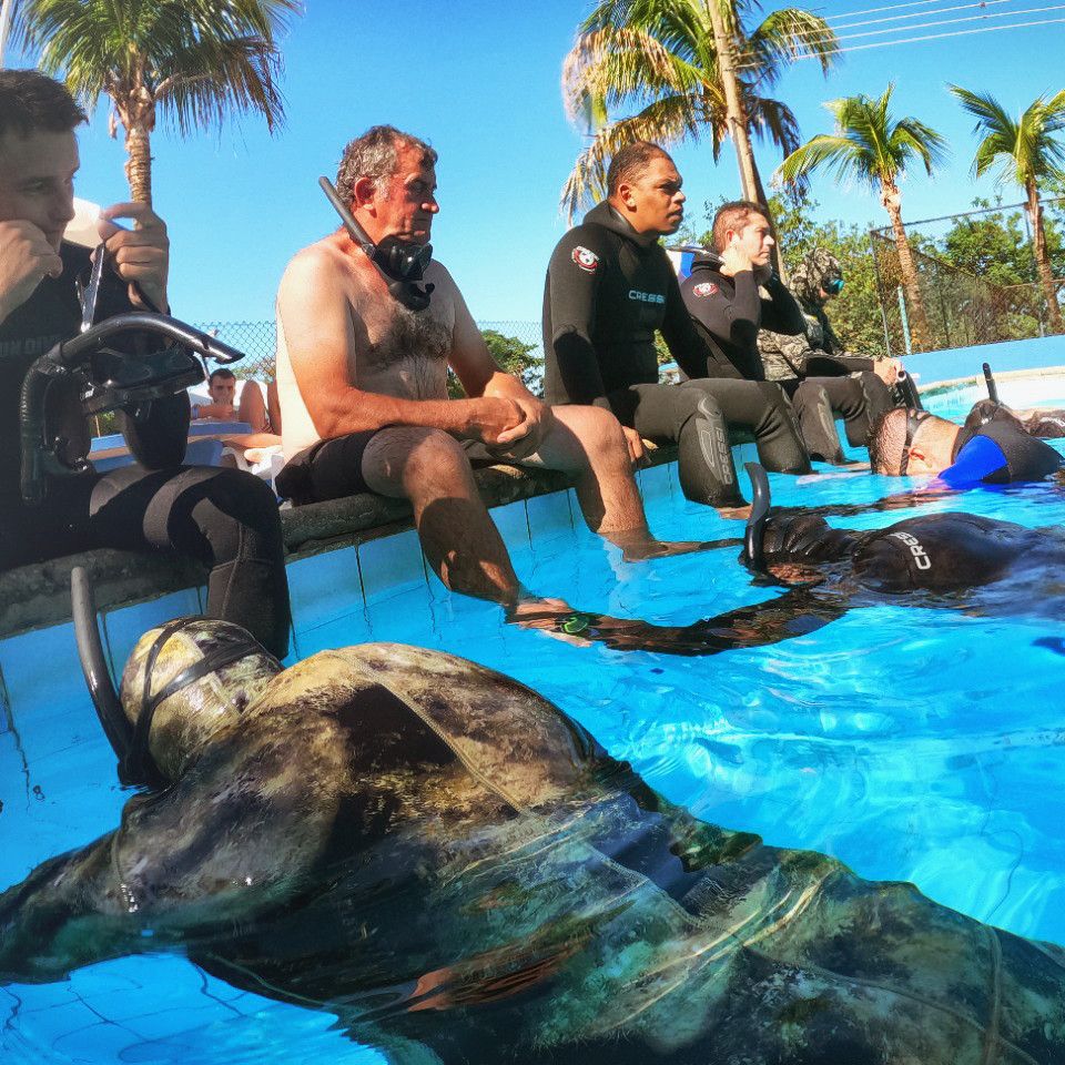 Curso Freediver Padi e Pesca Sub Avaré/SP - 5 - 31