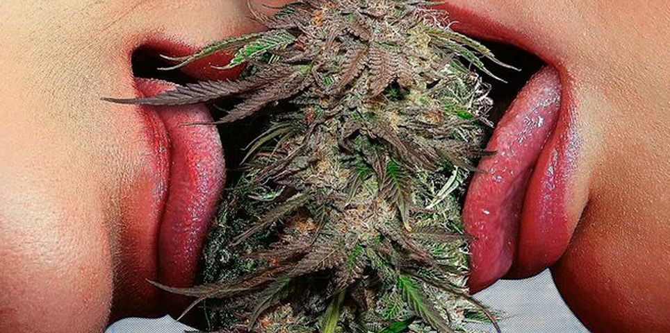 Sexo, maconha e transar chapado: tudo sobre cannabis, libido, prazer e mais - 21