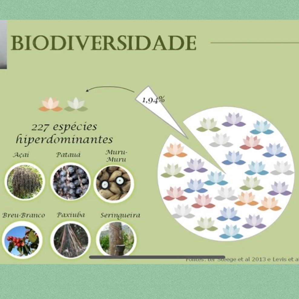 6 Os animais e as sociedades amazônicas do passado. Alimentação - 2